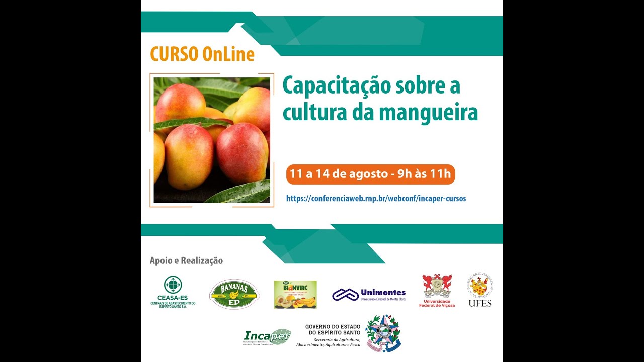 Capacitação sobre a Cultura da Mangueira - 2ª parte.
