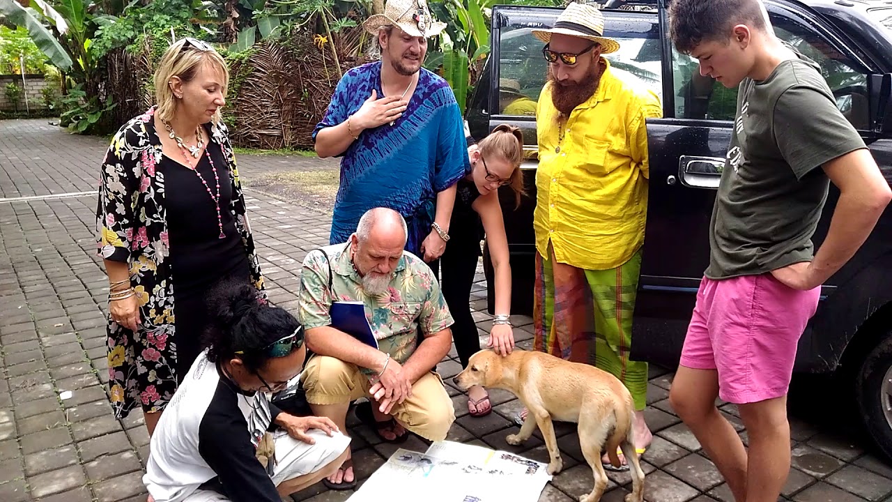 BALI PRIVATE TOURS SERVICE - BALI GUIDE FRANCOPHONE