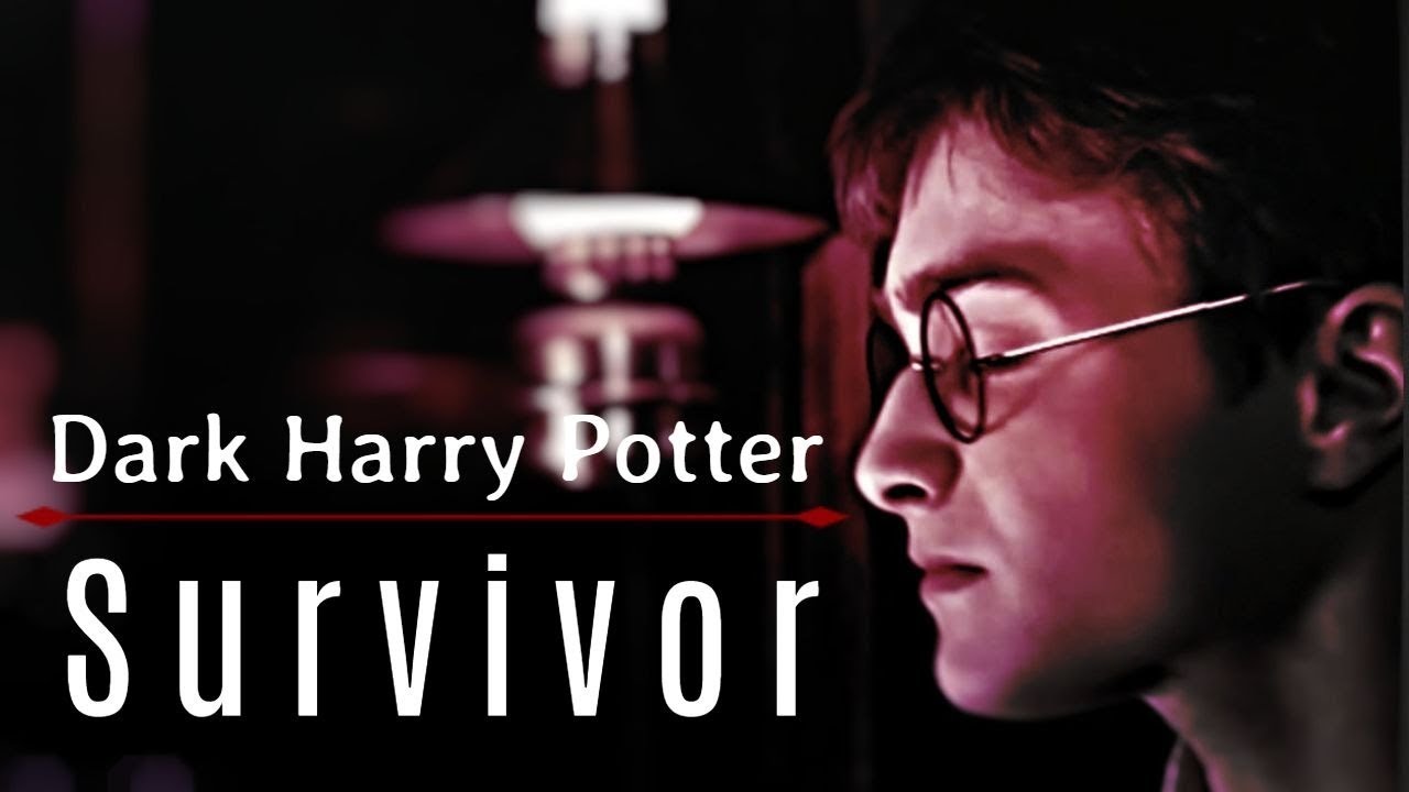Dark Harry Potter | Survivor