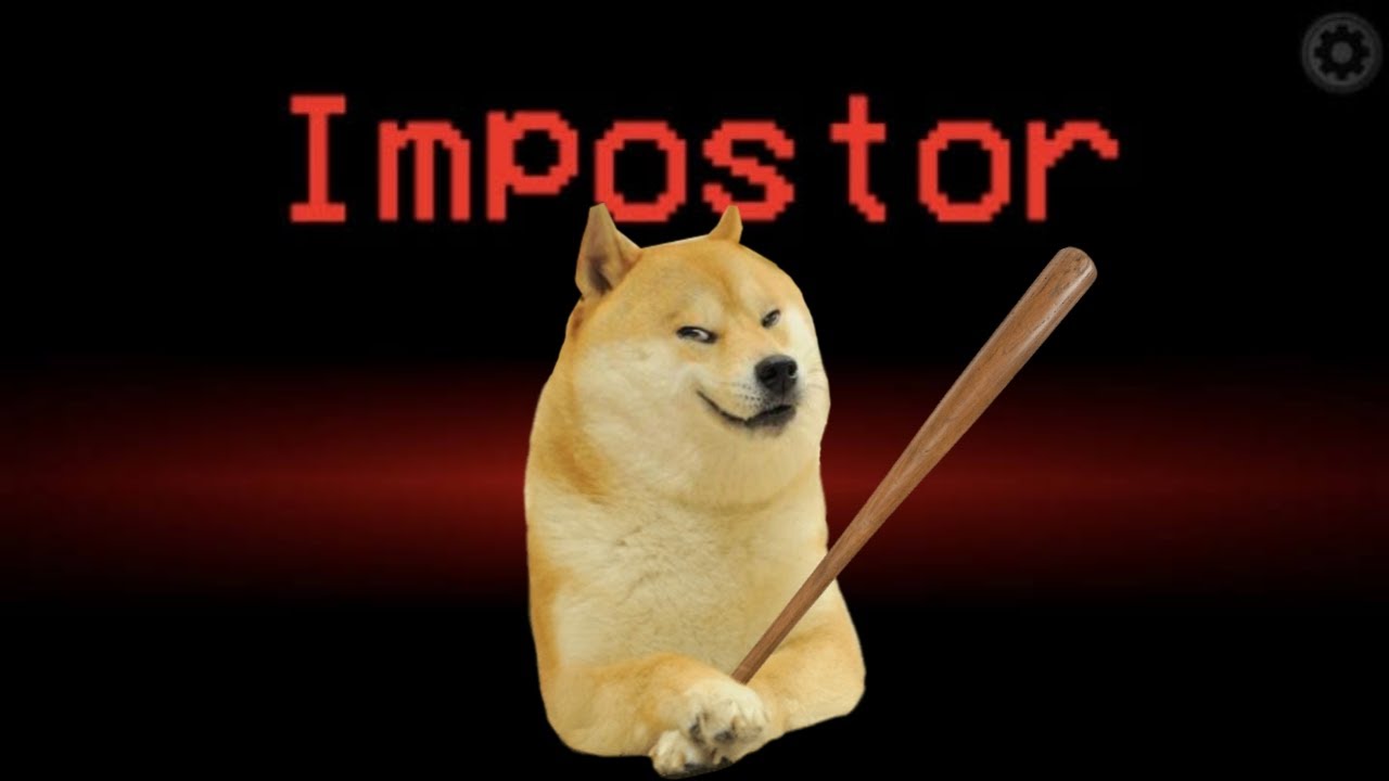 Doge played Among Us for the first time!