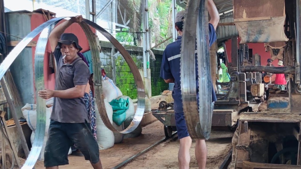 Bagaimana penggergajian di desa mengubah kayu jati menjadi papan yang presisi
