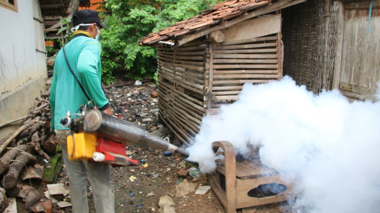 FOGGING / Pengasapan DBD (Demam Berdarah Dengue)