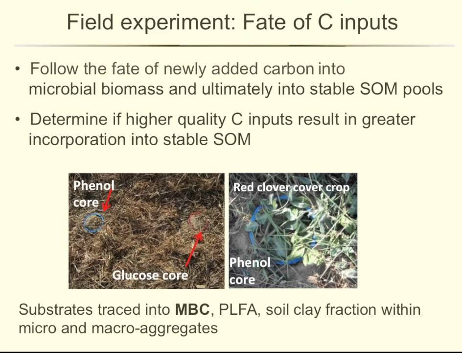 Increasing Soil Organic Matter in Organic Cropping Systems