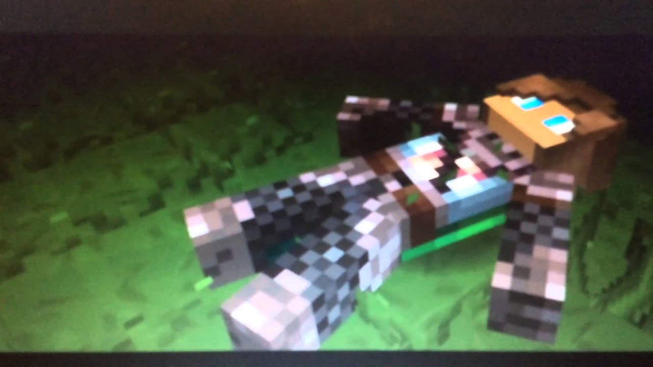 Garroth-Titanium-Minecraft Diaries