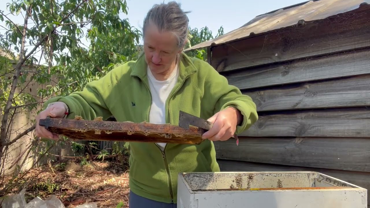 Queen Chris and Co.. it's a mystery