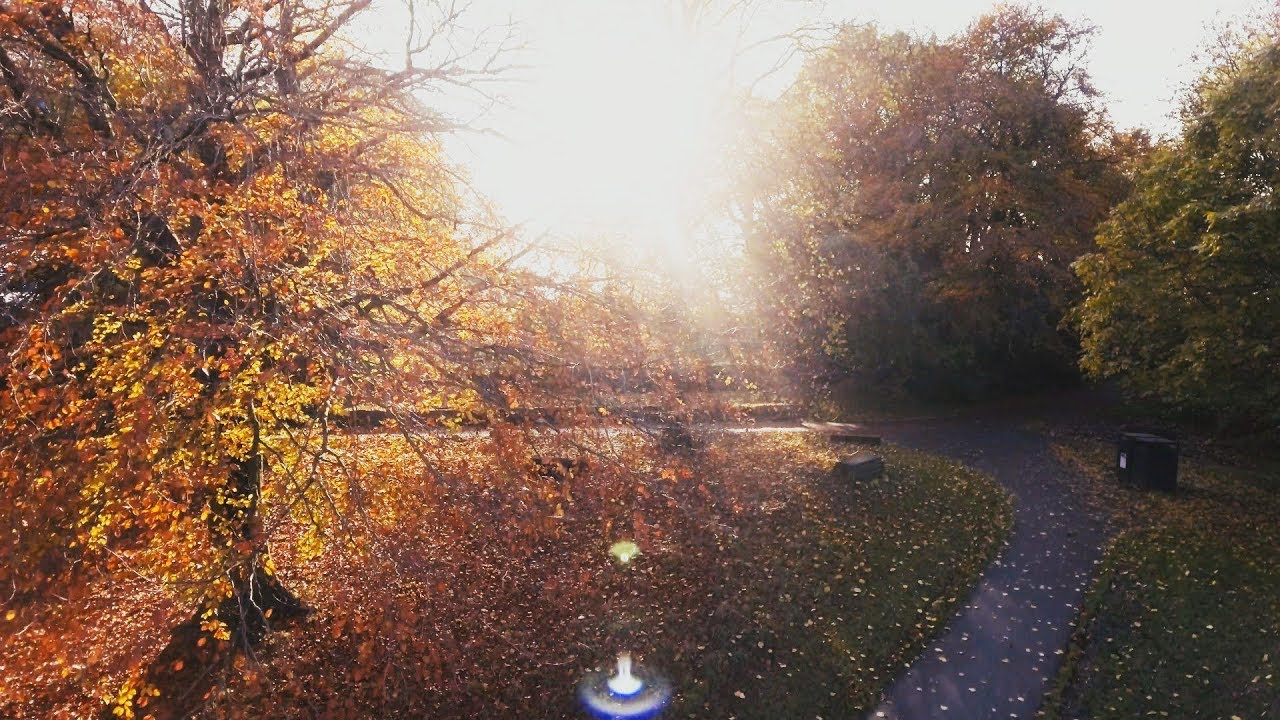 Parks and Green Spaces &ndash; studying at Newcastle University