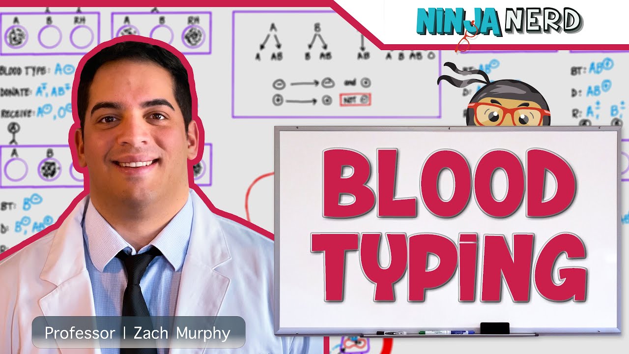 Hematology | Blood Typing