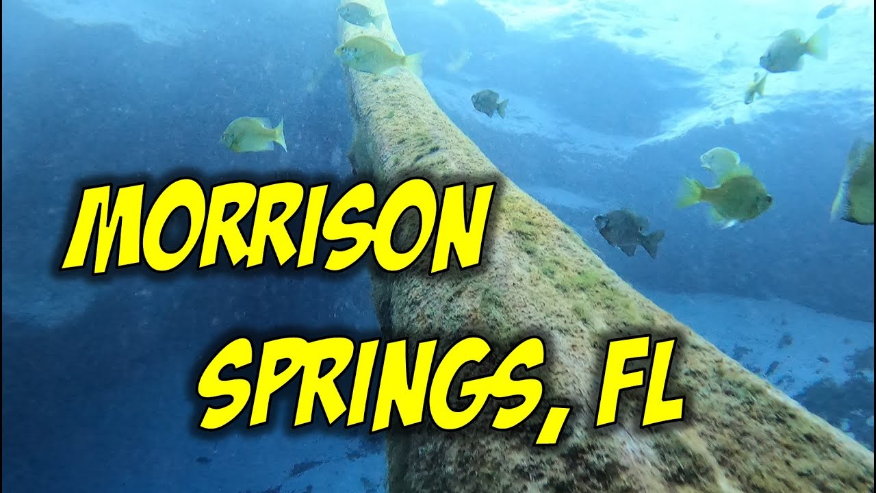 Scuba Diving Morrison Springs Florida, with Chillwave Music to Relax to!