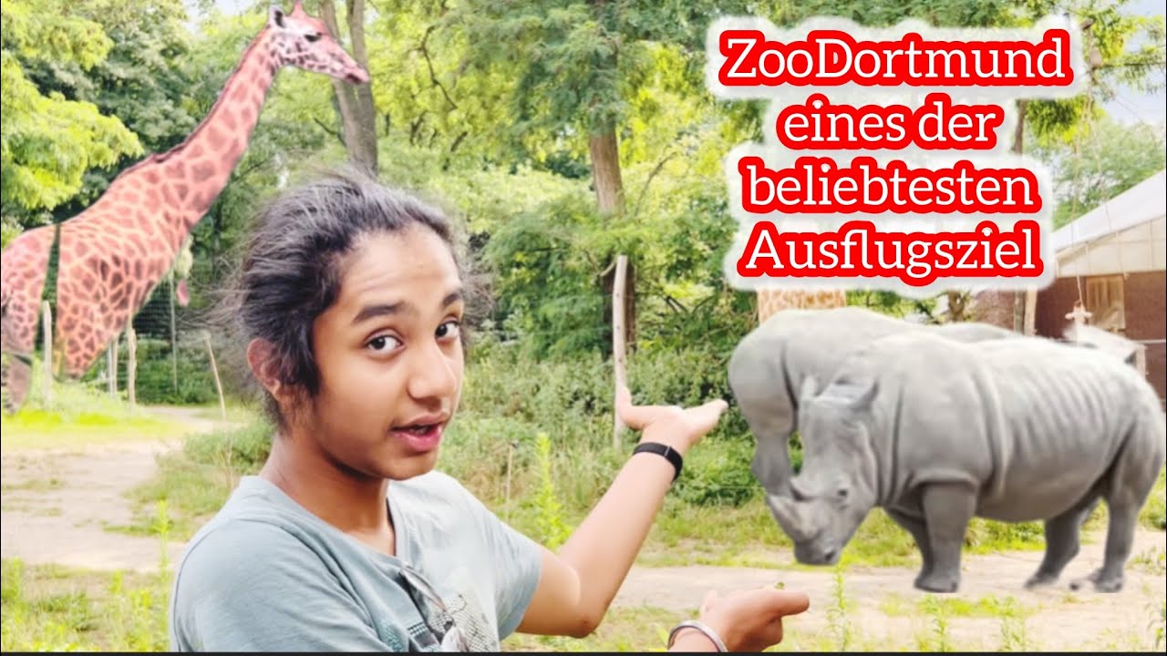 Zoo Dortmund 2025 Tierparadies Ausflugsziel HD🐒🐒🐥🦅🐦‍⬛🐴🦉🪱🐅🐆🦓🦏🦏🦒🐓🦜🐿️🦔