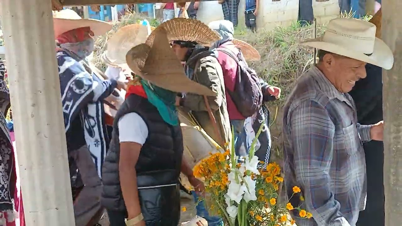 cuando el patrón se pone a cotorrear con los huehues😜🤭#cultura y tradiciónesmazateca#sierramazateca😍
