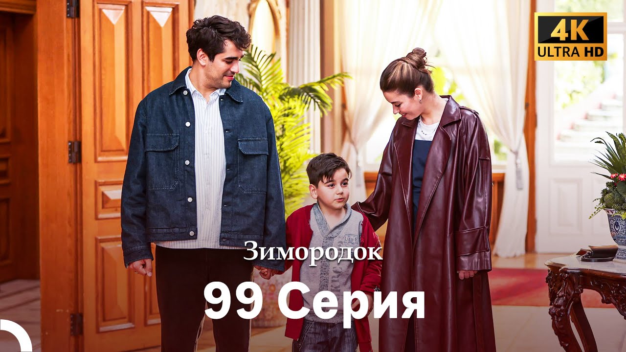 Зимородок 99 Cерия (Русский дубляж) (4K)