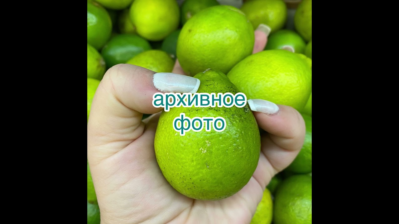 Новая поставка: Апельсин Биццария, Лайм , Апельсин Тарокко вар, Апельсин Моро, Грейпфрут Стар Руби