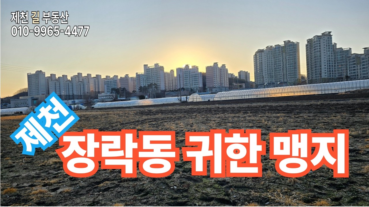 충청북도 제천시 장락동 귀한 맹지
