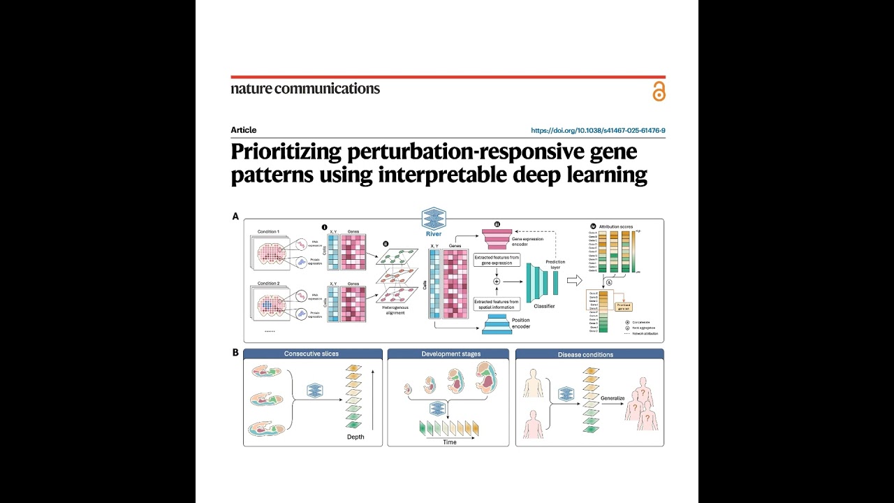 525-River: Prioritizing Differential Spatial Gene Patterns