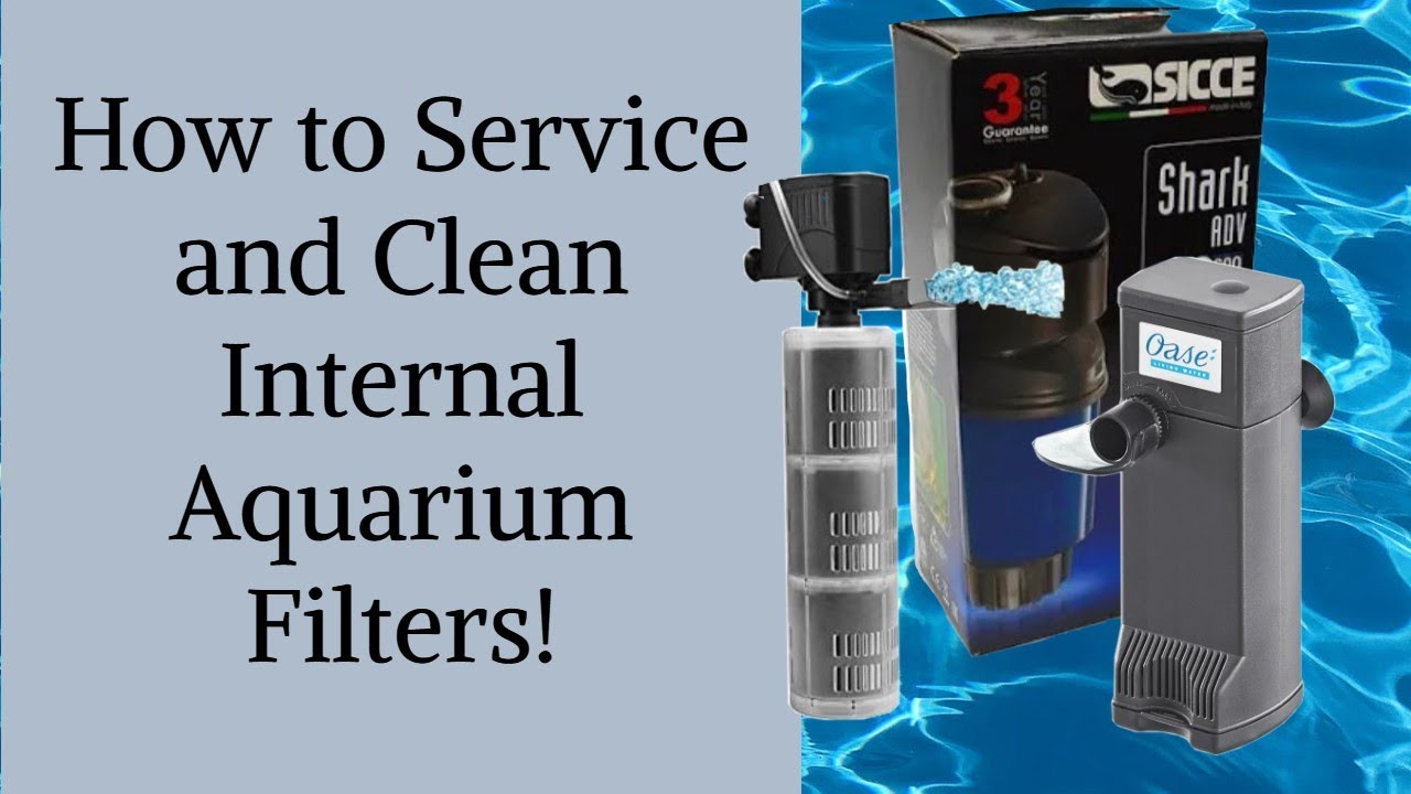 My Tips for Cleaning INTERNAL FILTERS [Why Are These UGLY Aquarium Filters Becoming so Popular?]