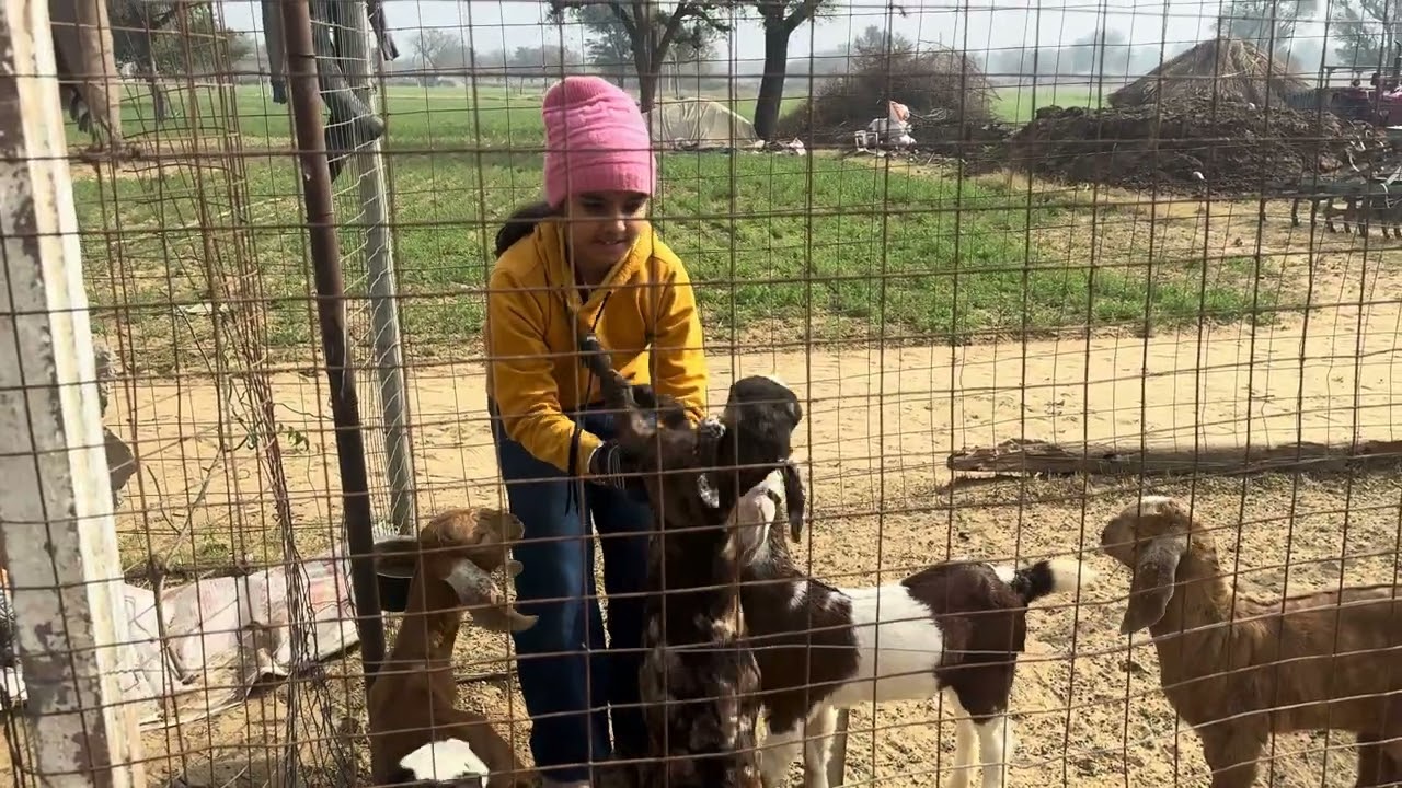 VLOG-2 Village Tour ❤️￼ Gudiya Ne Kari Gaon mein Masti❤️