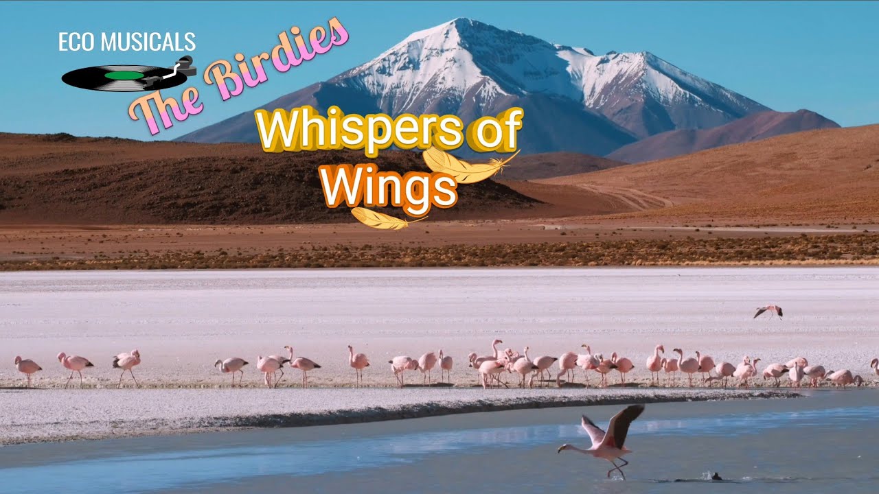🎧 Eco Musicals 🎶🦩The Birdies 🎶🕊 Whispers of Wings 🎶🪿Relaxing Birdsong & Nature Music Video 🎶🦩