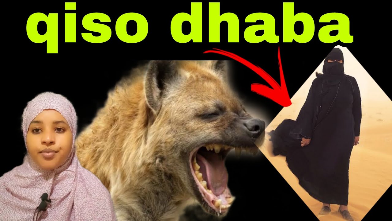 Ninki kaqayb galy tacsida xaskisa  warabuhu cuny 4 sano kadib arin layableh badhacay@afnaaneddabsan