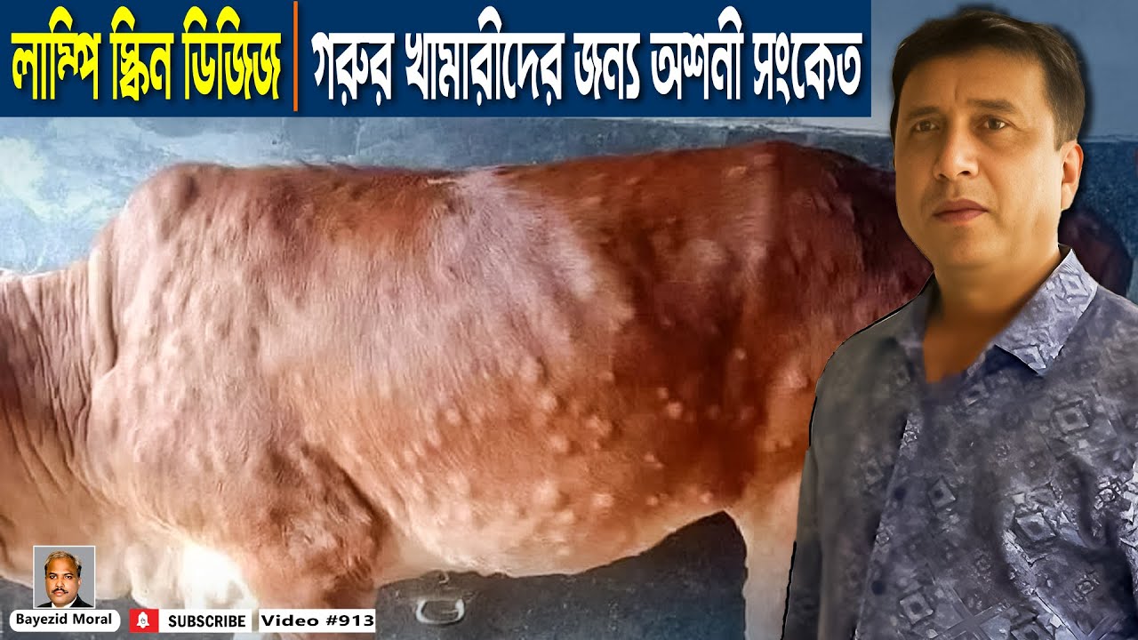 লাম্পি স্কিন ডিজিজ | ডাঃ মেহেদির চিকিৎসা | Lumpy skin disease | Bayezid Moral