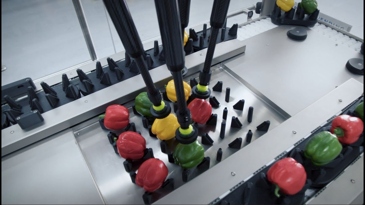 Multipede robotics | MDE Automation