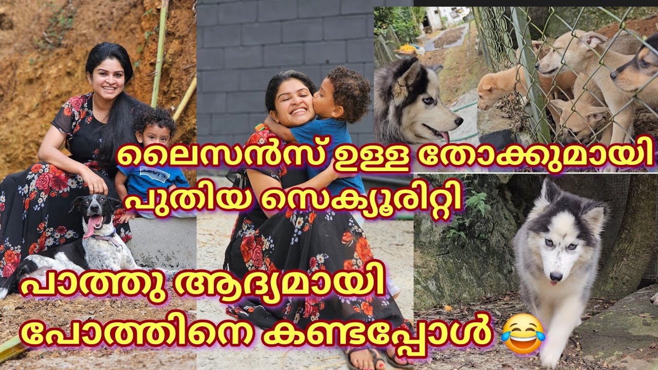 ഇനി മറുപടി എന്റെ സെക്യൂരിറ്റിയുടെ തോക്കുകൾ പറയും 😎😎2024💞💞