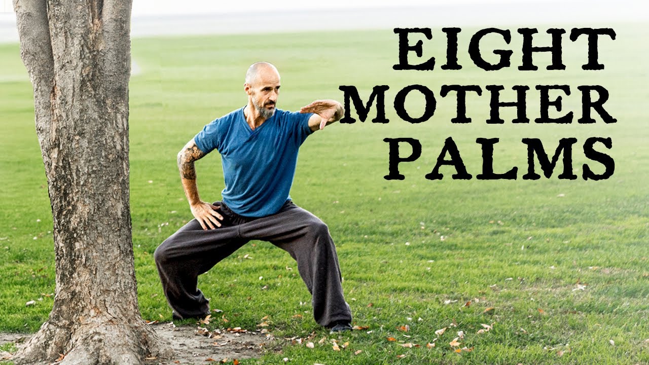 Baguazhang 8 Mother Palms I Kung Fu Beginner’s Guide