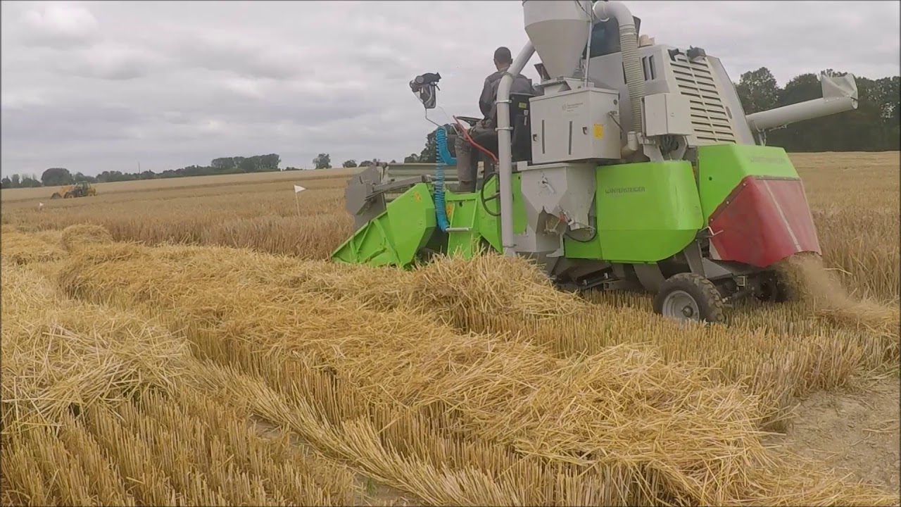 Moisson 2018 des essais d’escourgeon - Wintersteiger Classic