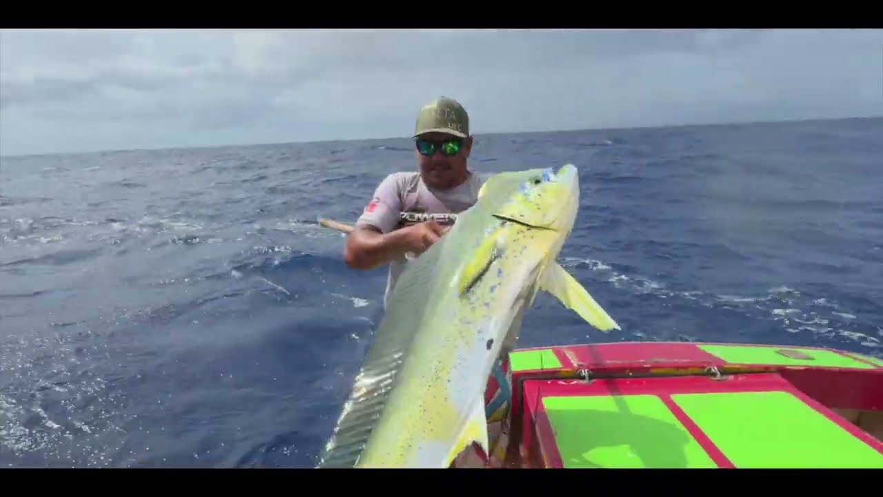 La pêche au Mahi Mahi - Dorade Coryphène