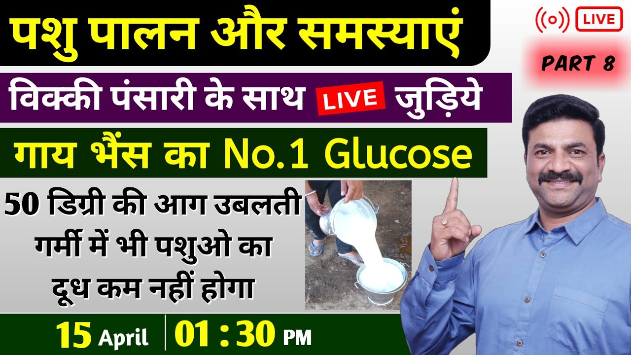 पशुओ का No.1 Glucose | 50 डिग्री की आग उबलती गर्मी में भी पशुओ का दुध कम नहीं होगा | Vicky Pansari |