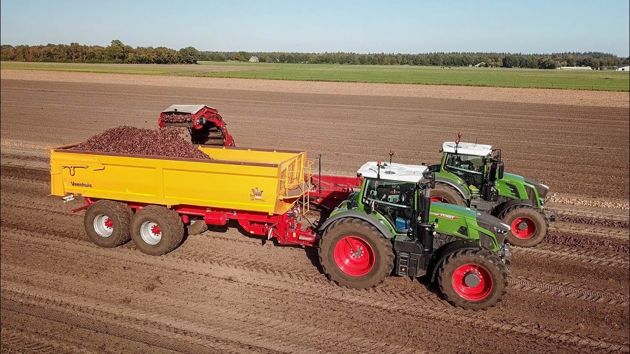 Akkerbouwbedrijf Warmelts Uien laden | Direct in de Vrachtwagen |  Fendt 415 824 930 SU-Tech