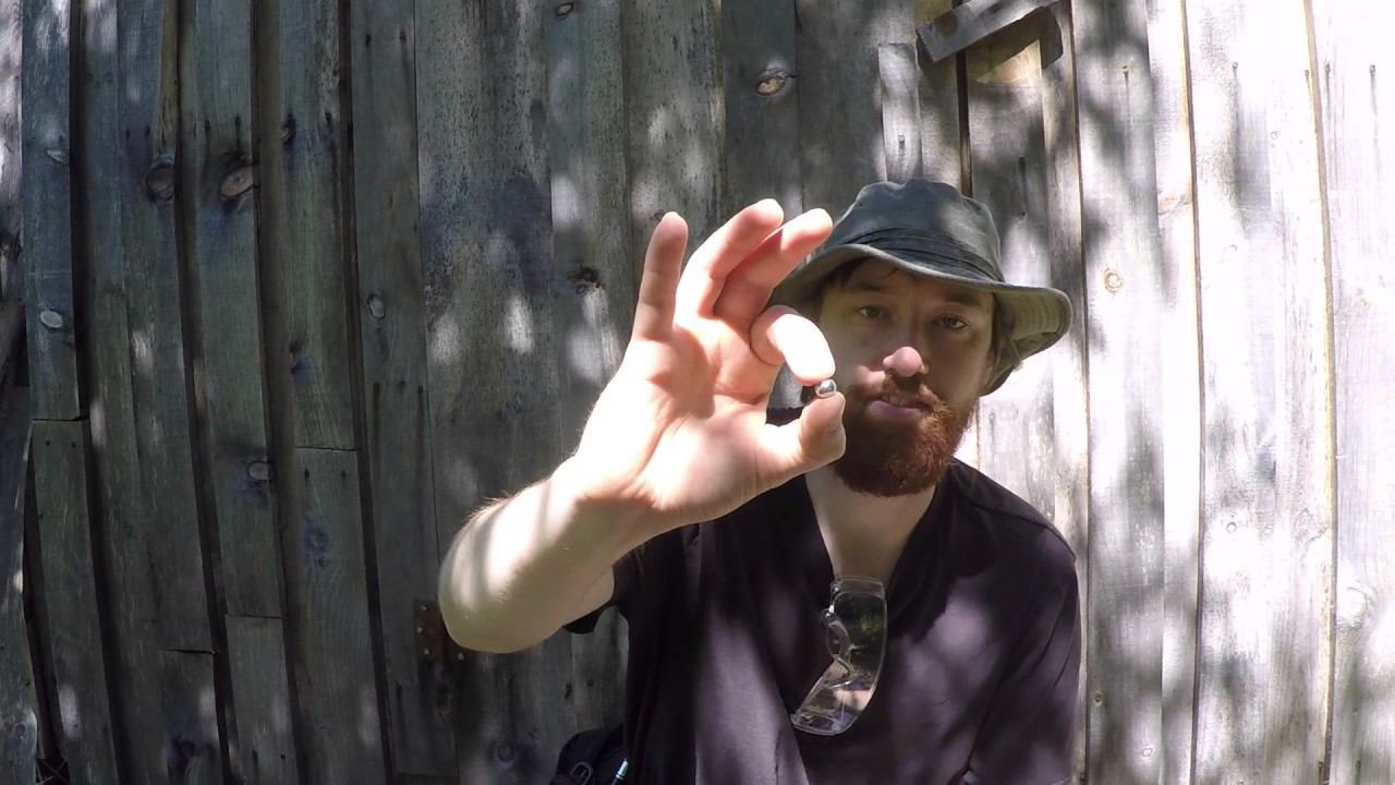 Review of the Daisy Powerline P51 Slingshot