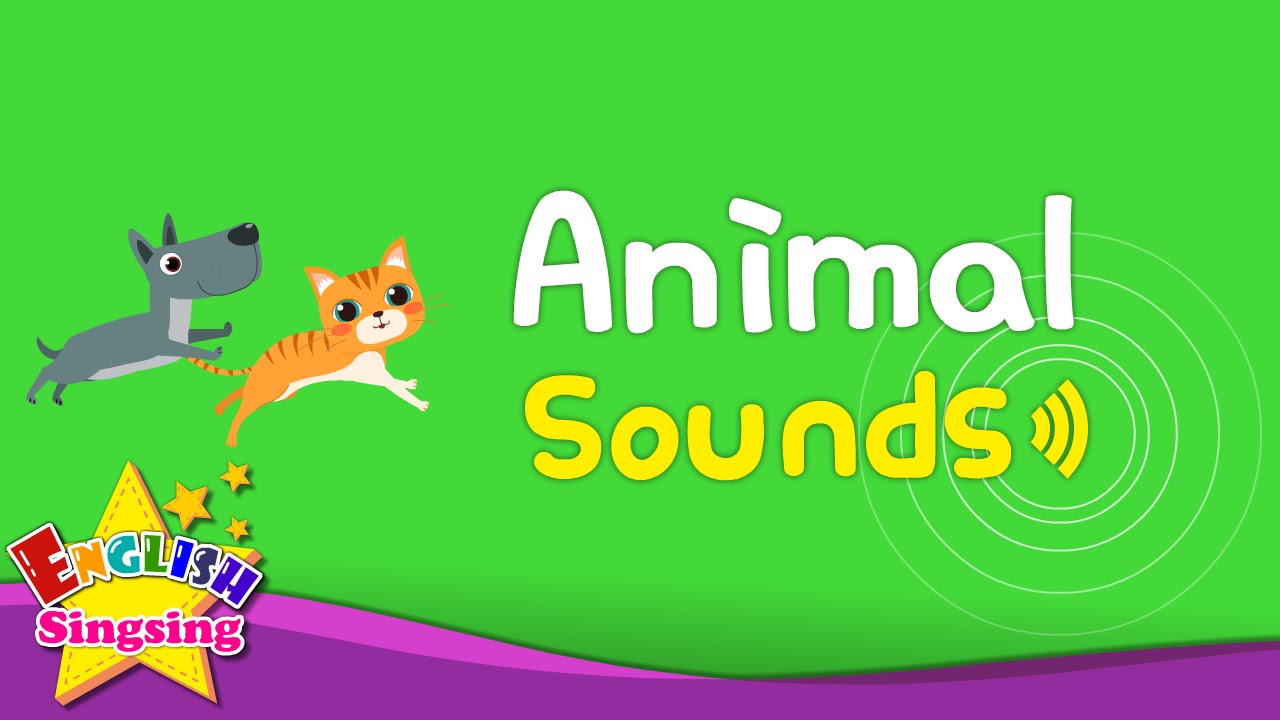 Animal Sounds - Kids Vocabulary - Various Animal Sounds- Learn English for kids -