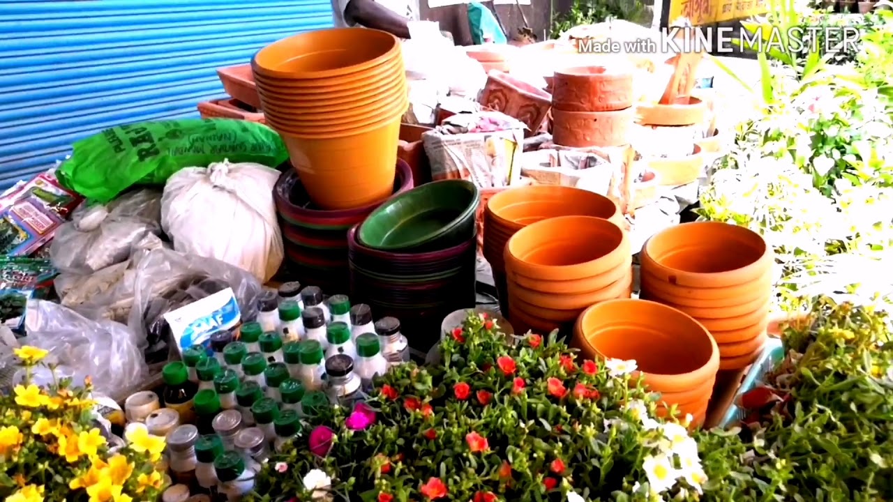Kolkata me Behala Manton ki Roadside Nursery visit Kijiye