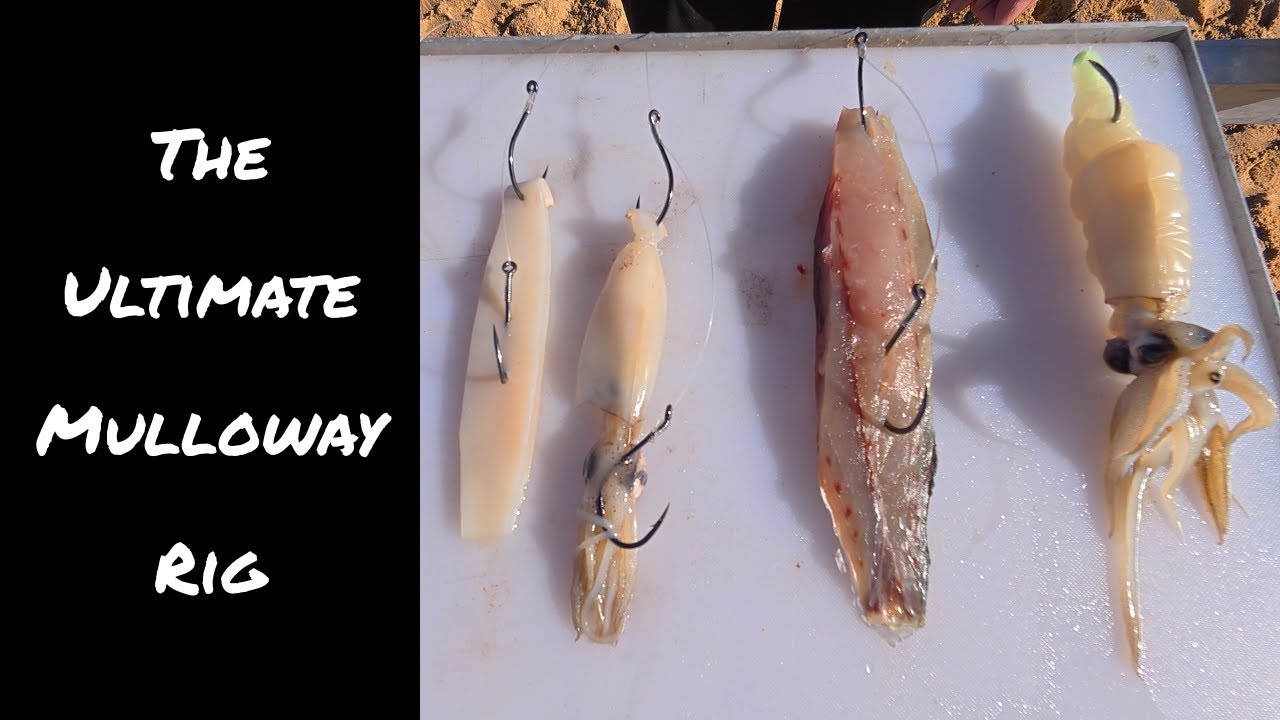 Introducing the Surf Slayer Rig | Ultimate Beach Mulloway Rig