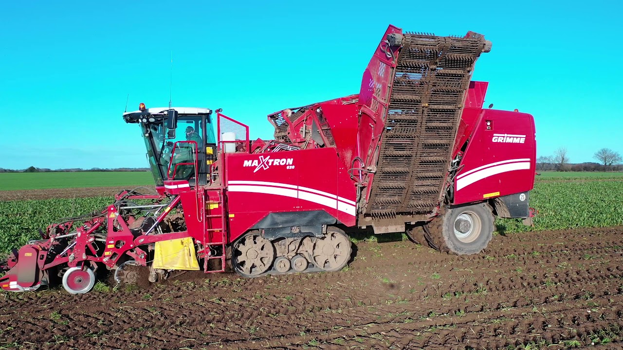 Sugar Beet Harvesting Norfolk