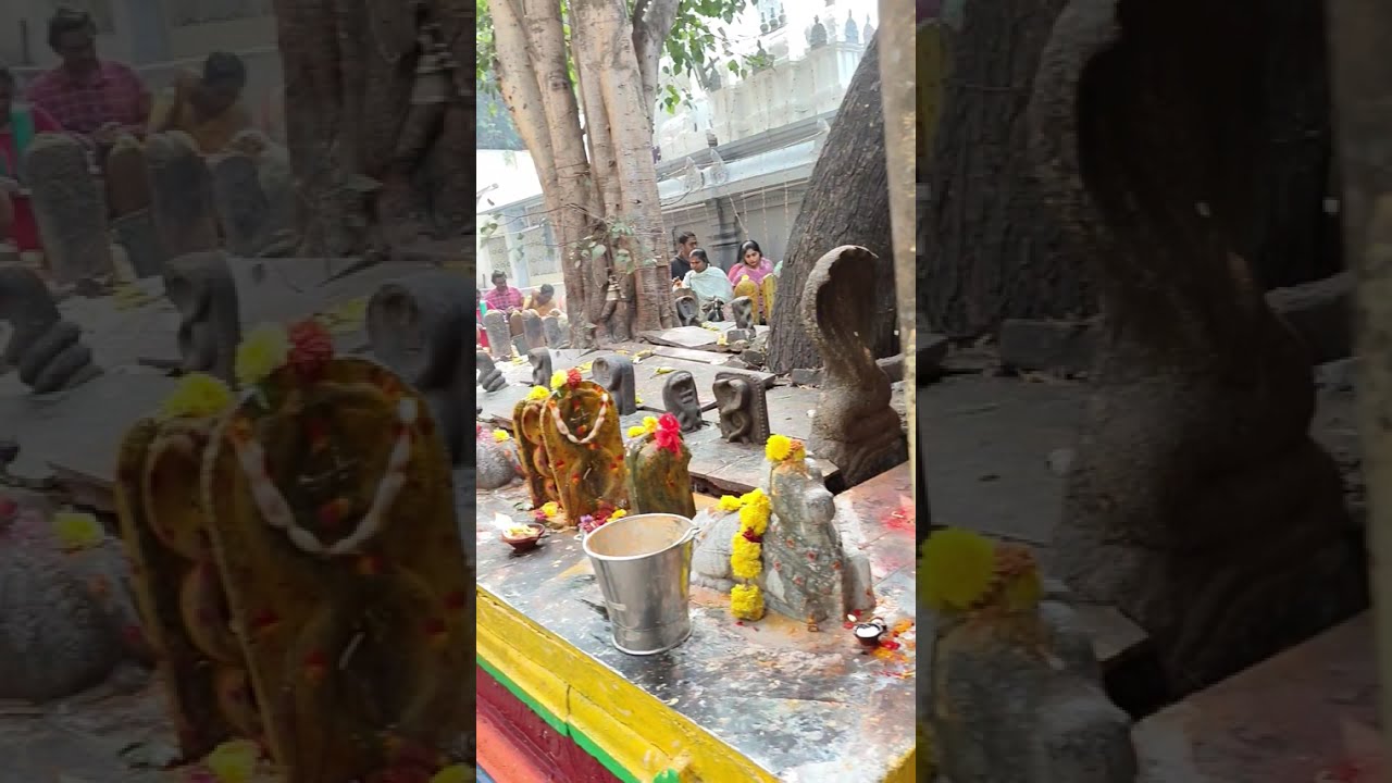 #कपिलेश्वर मंदिर #तिरुपति बालाजी#