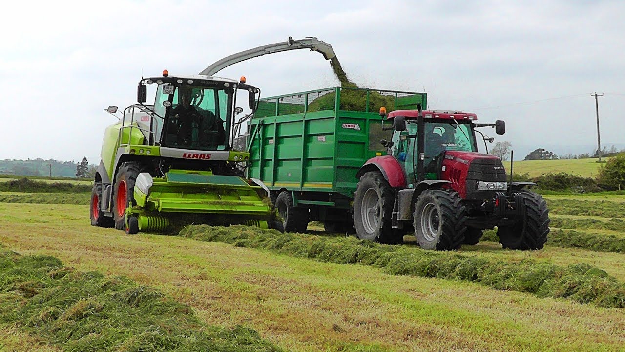 Silage 2019 - New Claas Jaguar 880 Lifting Grass