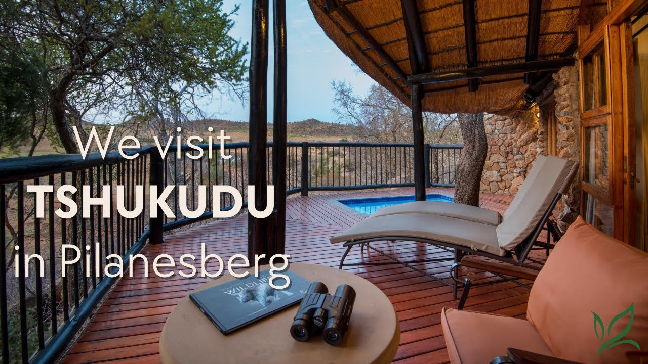 We Visit Tshukudu Bush Lodge in Pilanesberg National Park