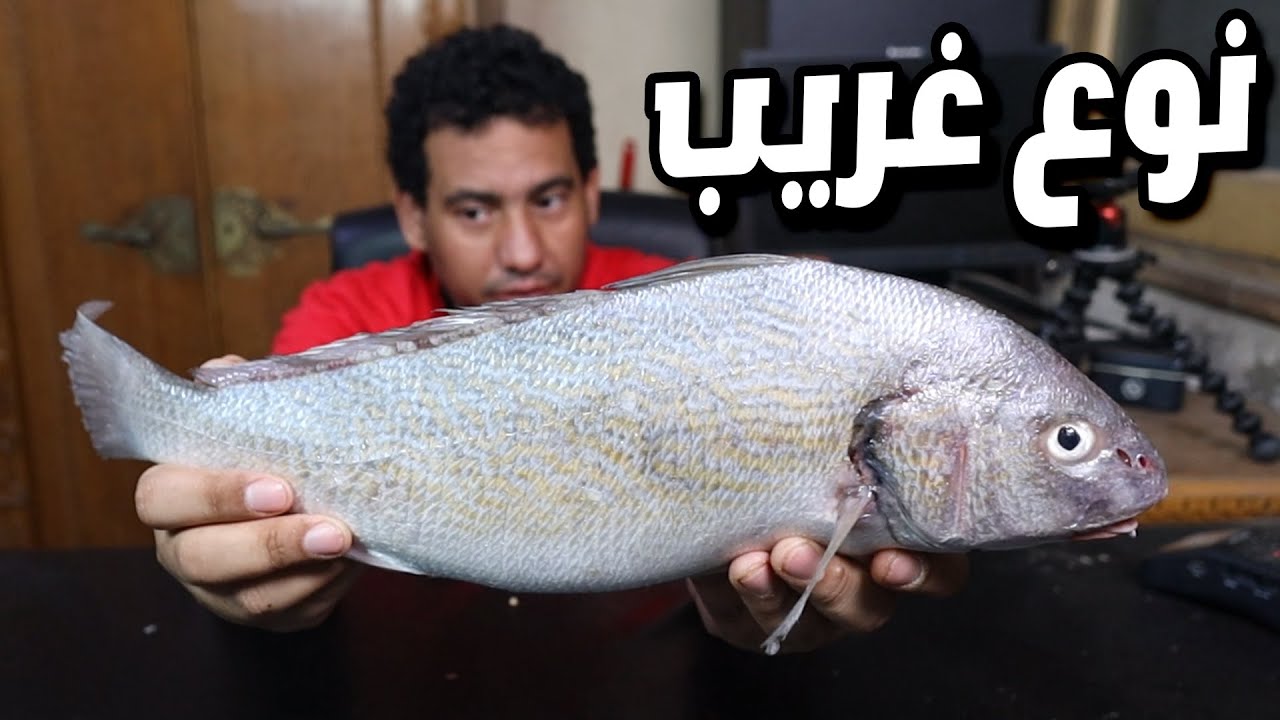 اول مرة اجرب النوع ده من السمك ..عمرى ما سمعت عنها قبل كده