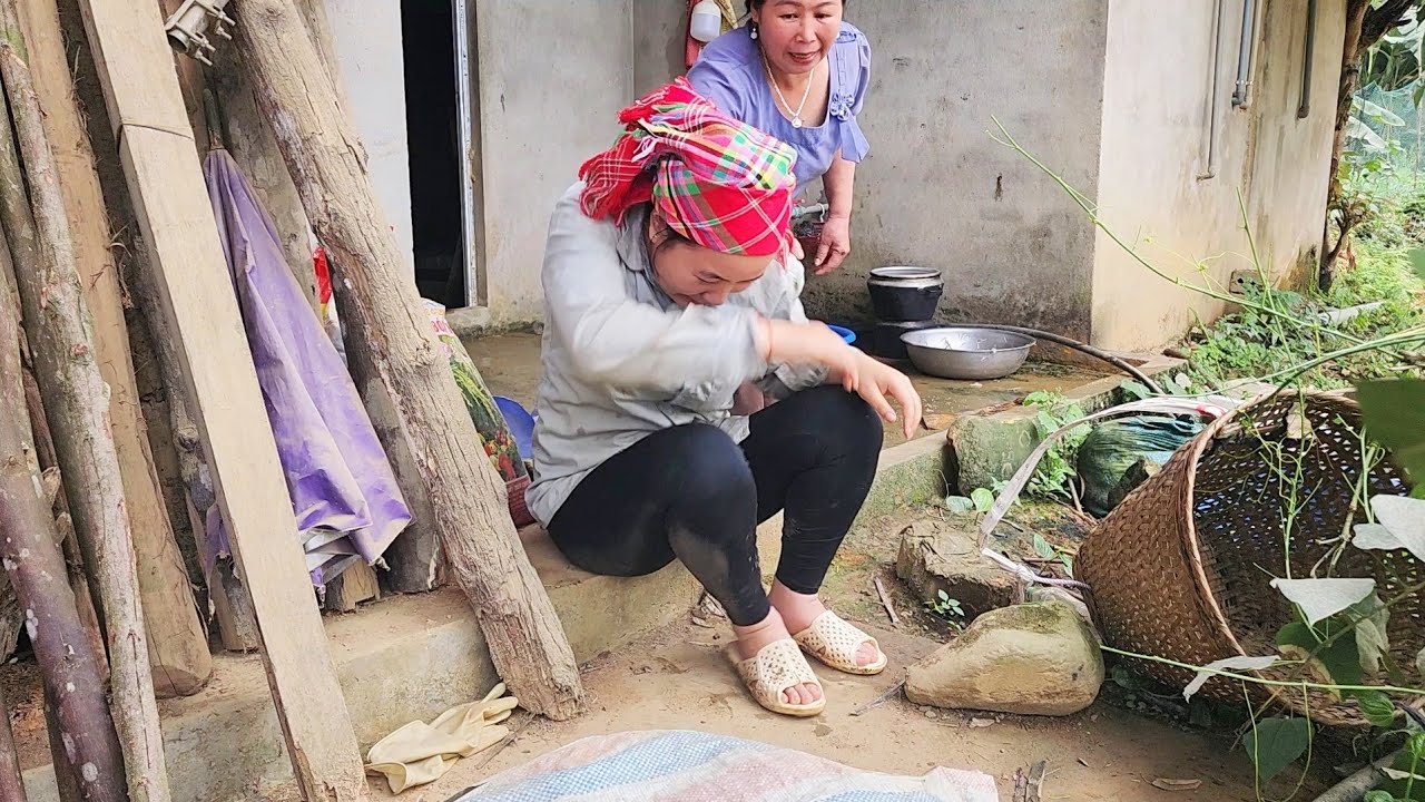 Выгнана из дома своей злой мачехой, бедная девушка получила помощь от Фам Тху.