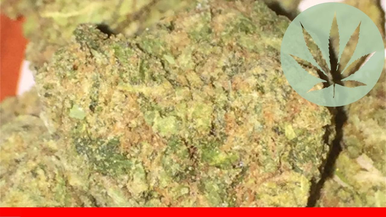 Green Dream - All About This Strain