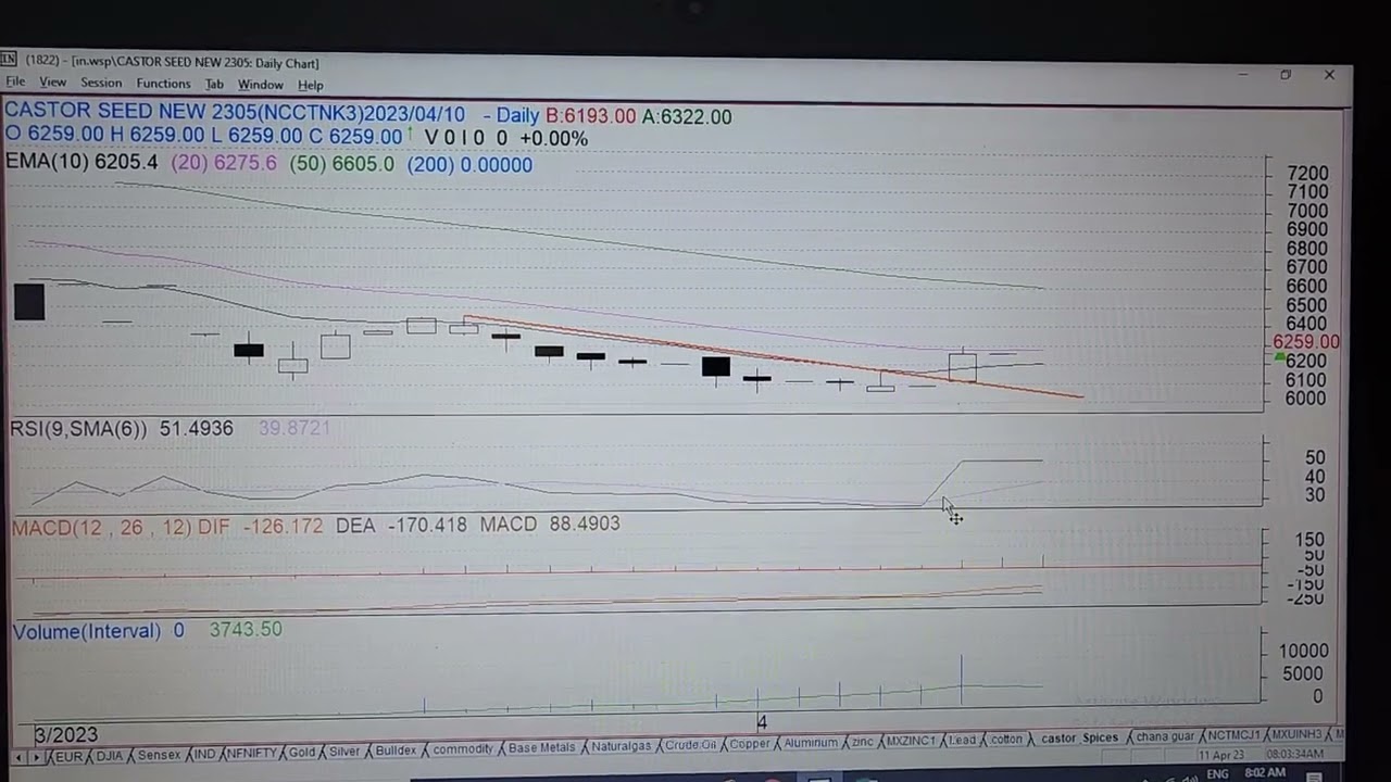 Decoding NCDEX CASTOR