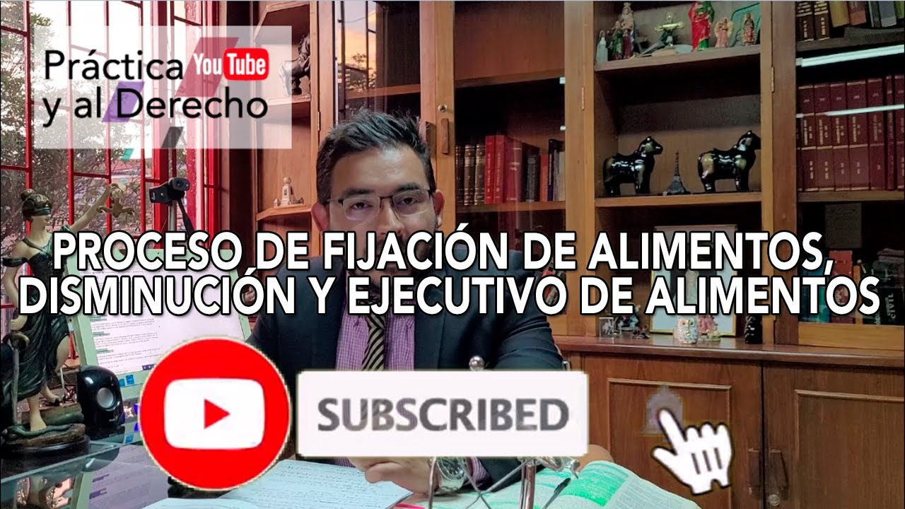 PROCESO DE FIJACIÓN DE ALIMENTOS, DISMINUCIÓN Y EJECUTIVO DE ALIMENTOS | CUOTA DE ALIMENTOS,COLOMBIA