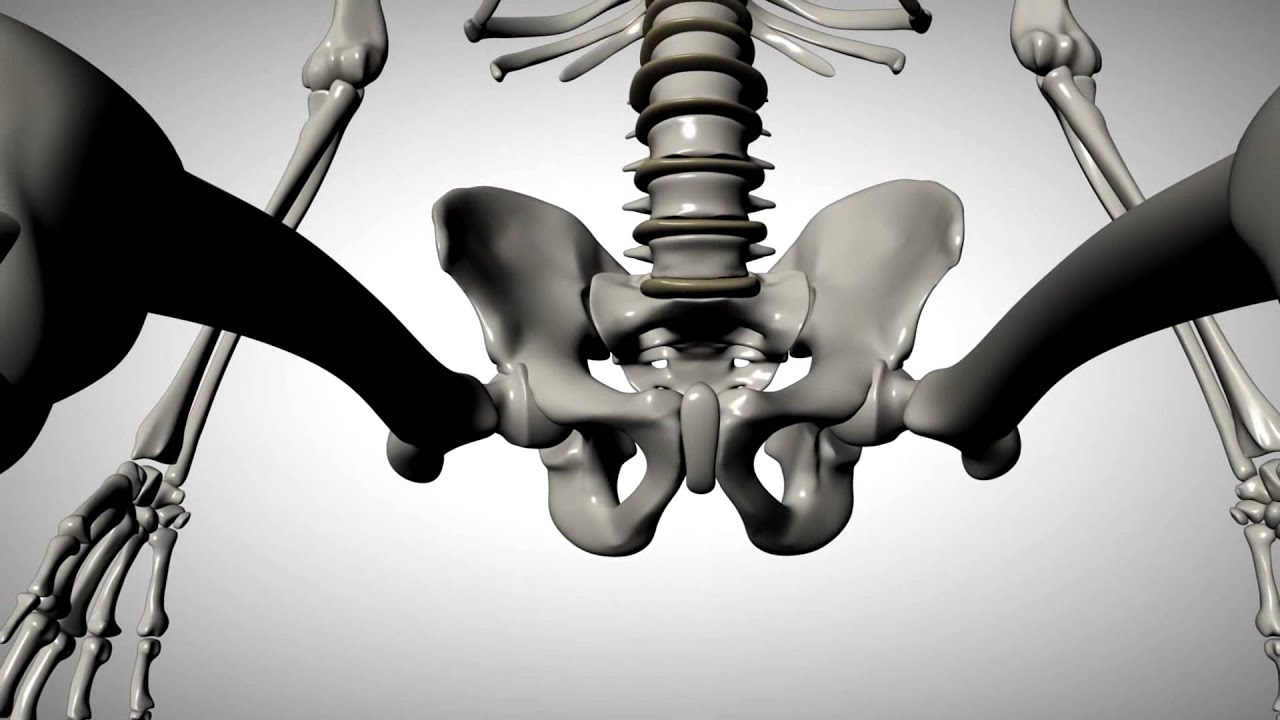 Il chitarrista, analisi posturale e biomeccanica: L'ANALISI POSTURALE