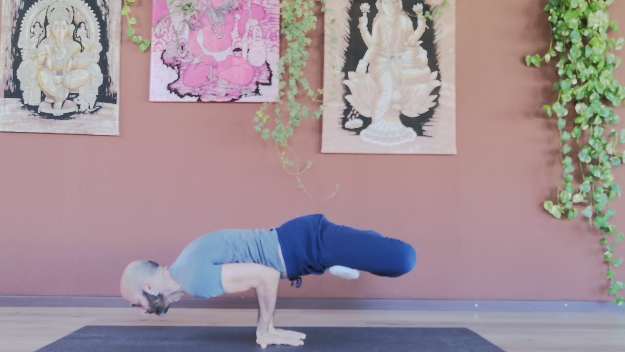 #38 Asana - Padma Mayurasana - Pavone con il loto