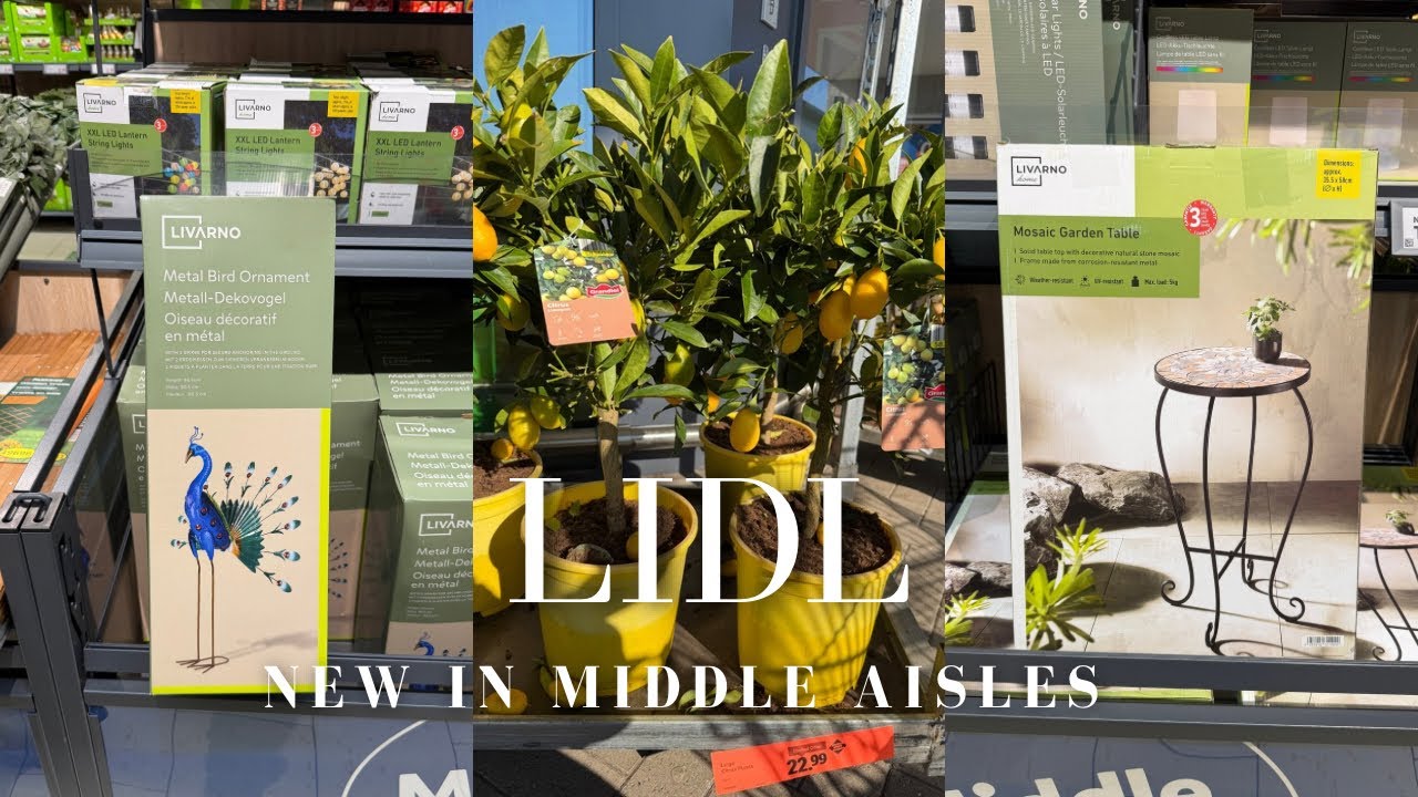 NEW IN MIDDLE OF LIDL | GARDEN EVENT 🪴 | New in store Thursday 19 March 2026