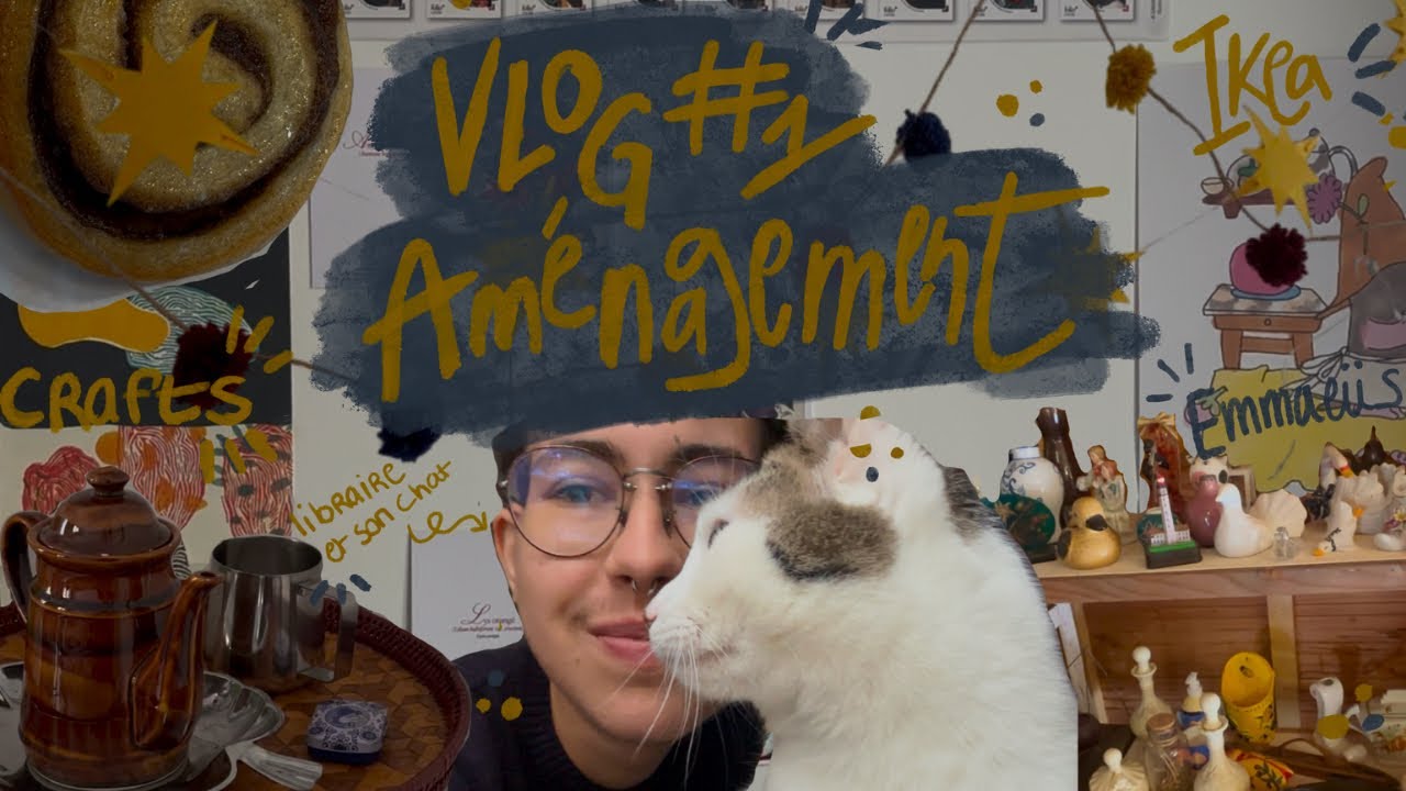 Votre nouveau libraire emm&eacute;nage 📖 vlog d&rsquo;am&eacute;nagement #1