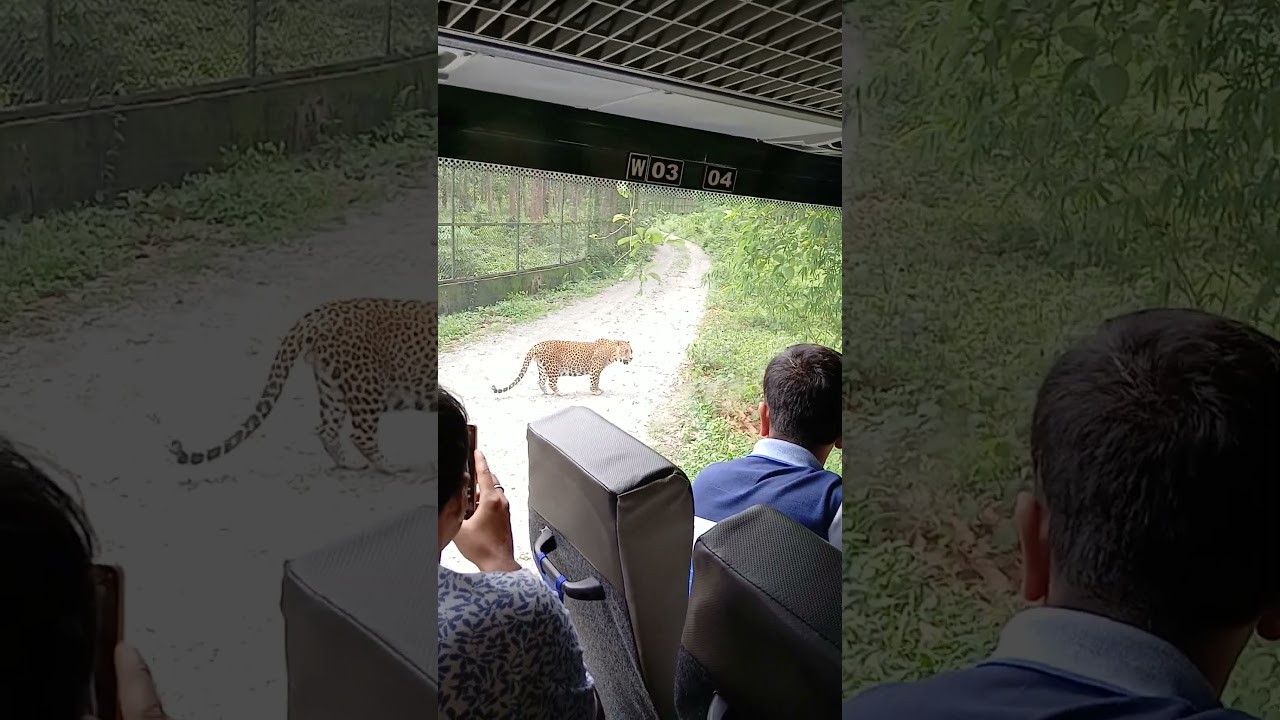 Siliguri Bengal Safari           