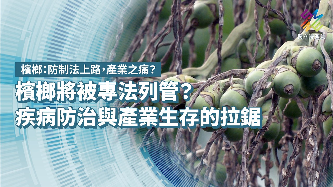 檳榔將被專法列管？疾病防治與產業生存的拉鋸｜檳榔：防制法上路，產業之痛？｜公視 #獨立特派員 第942集 20260304