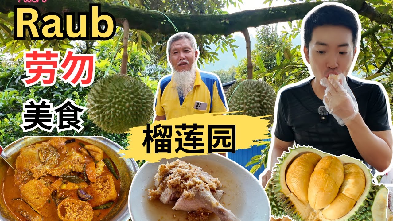 [Raub 劳勿～美食+榴莲园之旅] 廷叔猫山王休闲果园！东南美茶室！佈记云吞面！阿娥板面！田由强白切鸭！歌王劳勿传统客家茶粿！黄汉记茄汁面！胜荣花生厂！Ratha 咖喱鱼头！锦华饼家！蔡豆腐！逛巴刹